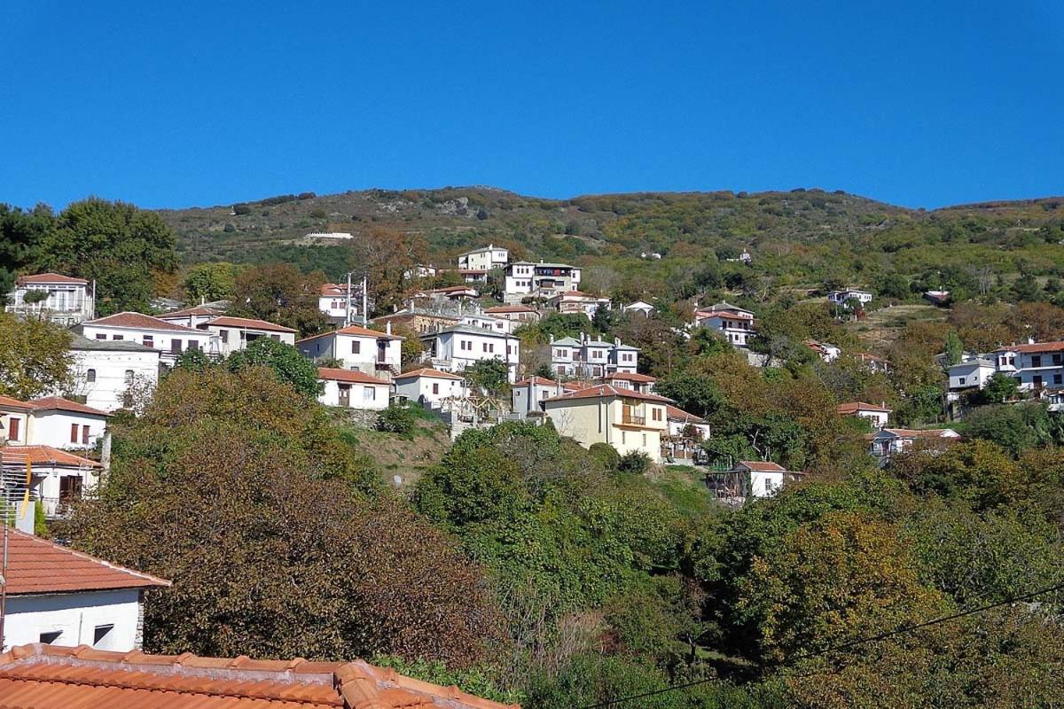 Klio Guesthouse Portaria  Bagian luar foto