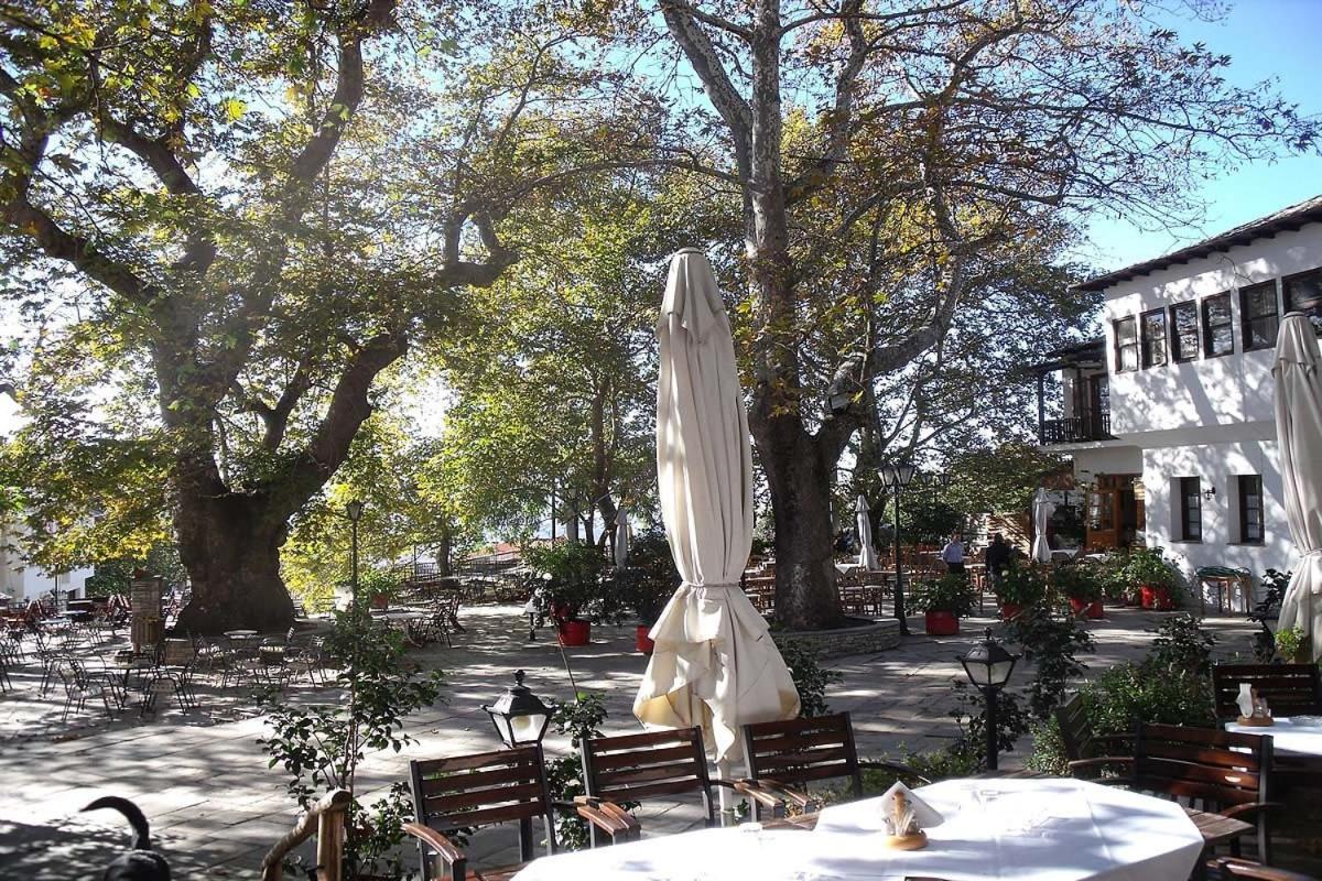 Klio Guesthouse Portaria  Bagian luar foto